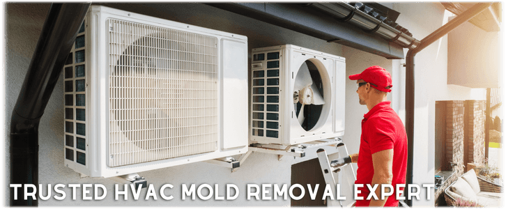 HVAC Mold Removal Lorton VA